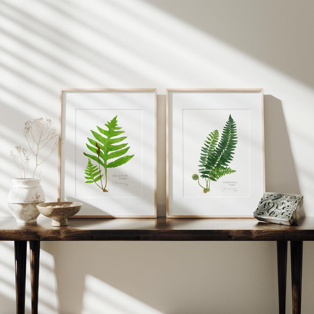 Christmas Fern Botanical Print