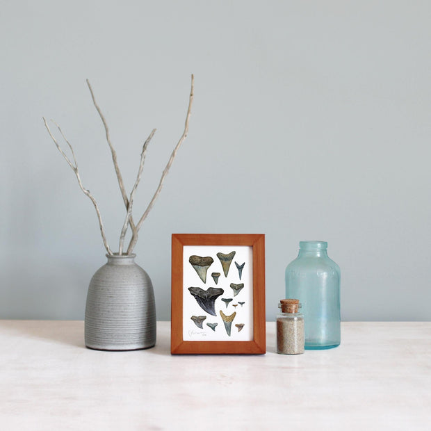 Shark Teeth Watercolor Art: Mini Framed Print