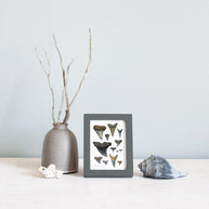 Shark Teeth Watercolor Art: Mini Framed Print