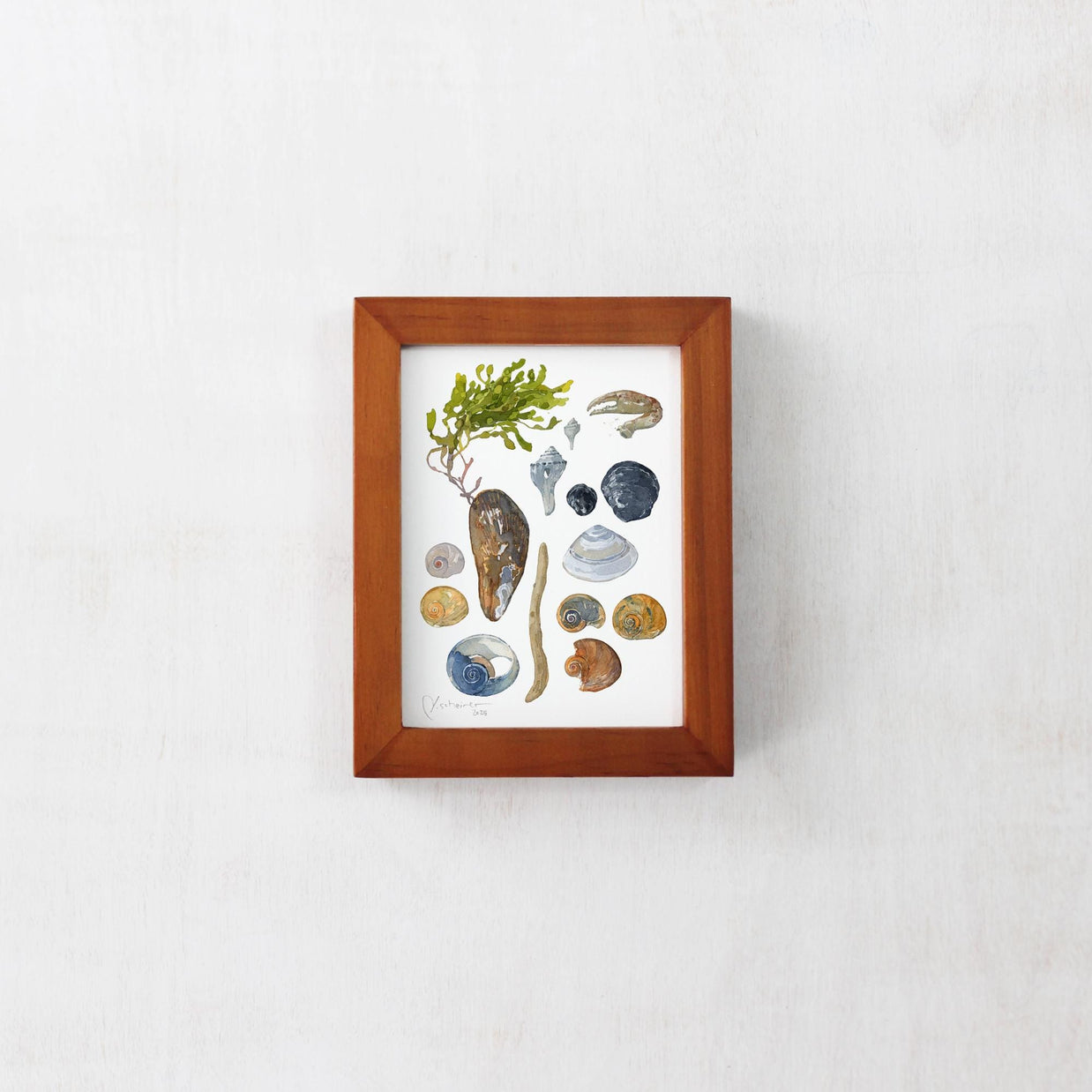 Shells and Seaweed Framed Watercolor Print Tabletop Frame