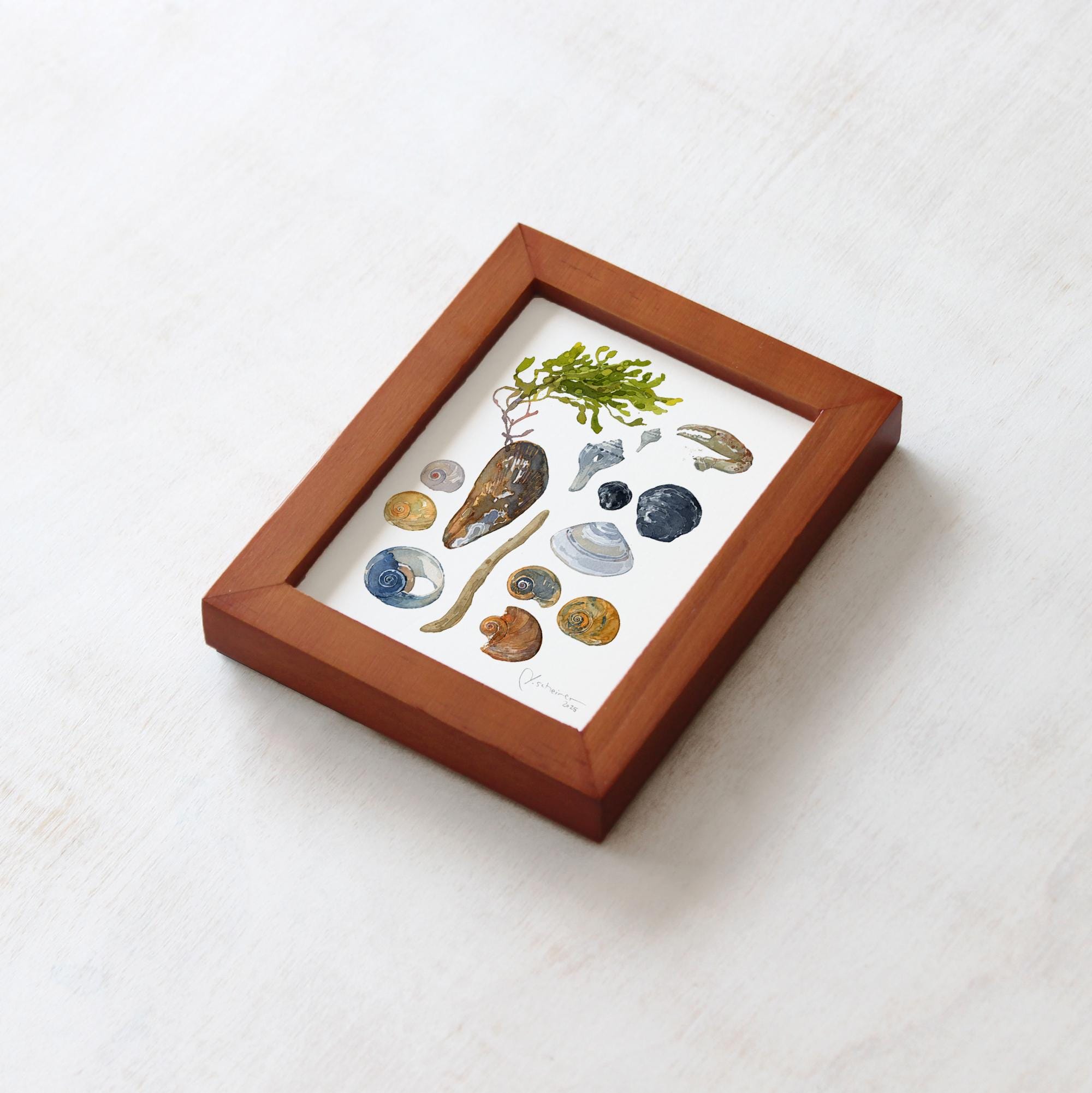 Shells and Seaweed Framed Watercolor Print Tabletop Frame