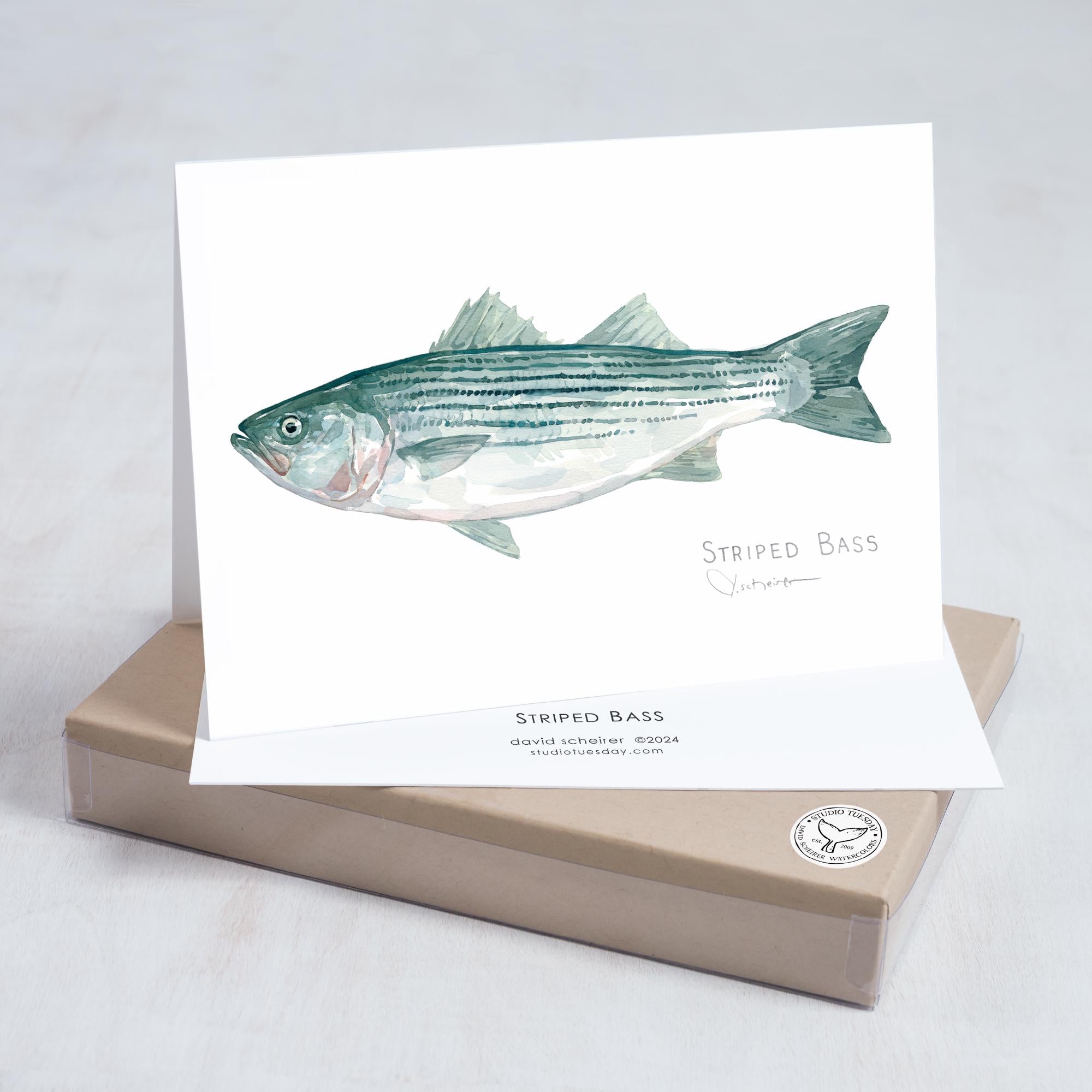 Fish Watercolor Card Set