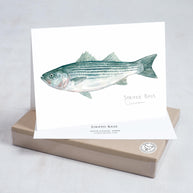 Fish Watercolor Card Set