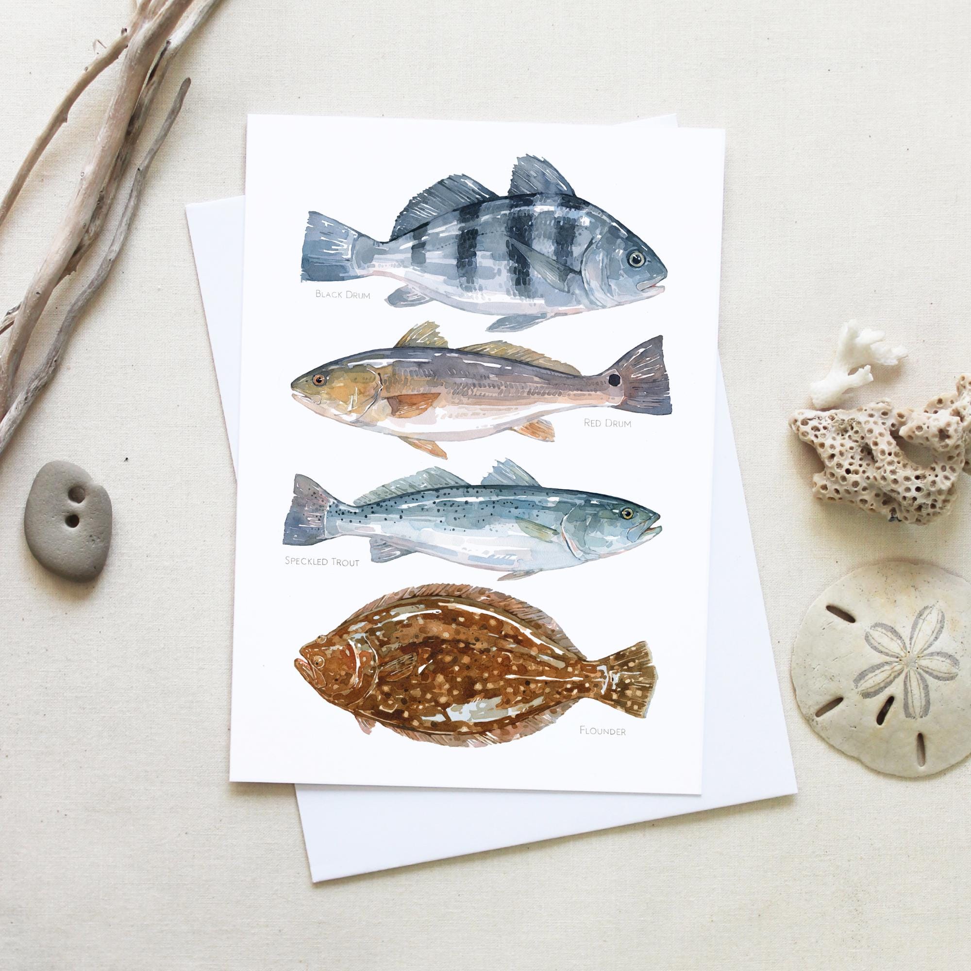 Inshore Fish Card