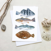 Inshore Fish Card