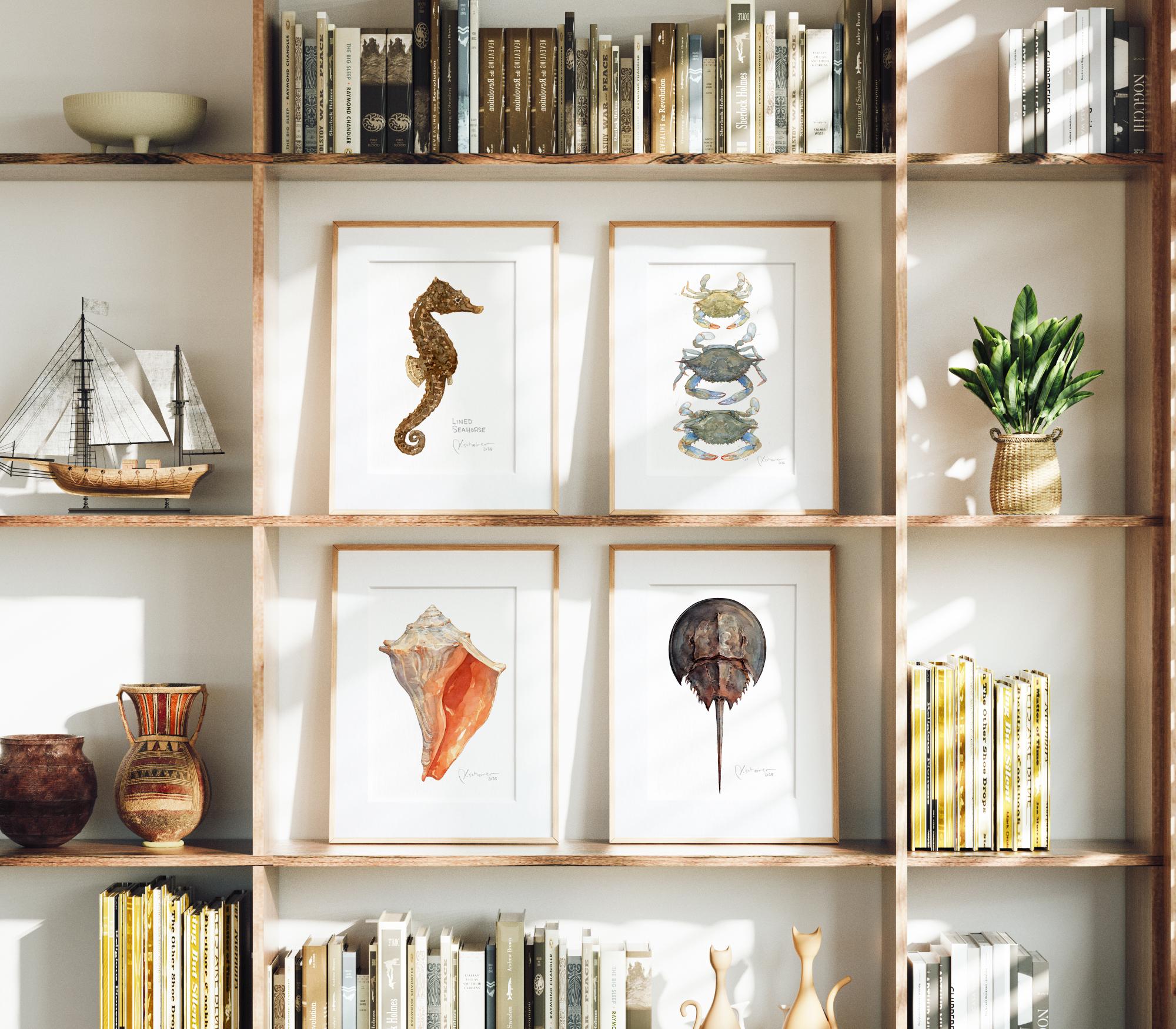 Horseshoe Crab Print