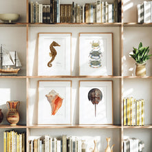 Horseshoe Crab Print