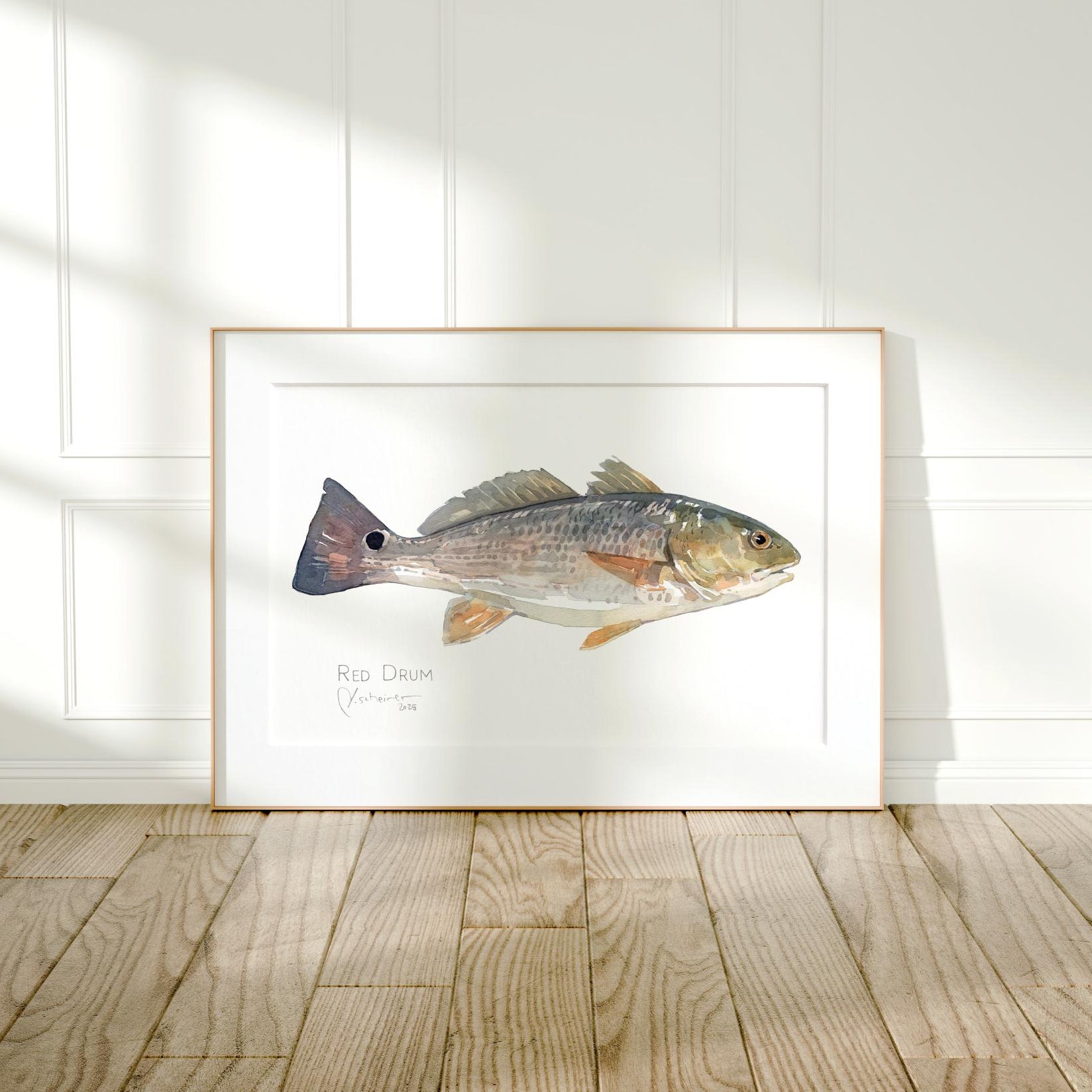 Red Drum Fish Print