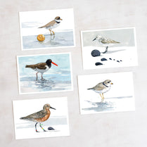 Shorebirds Card Set Mix I
