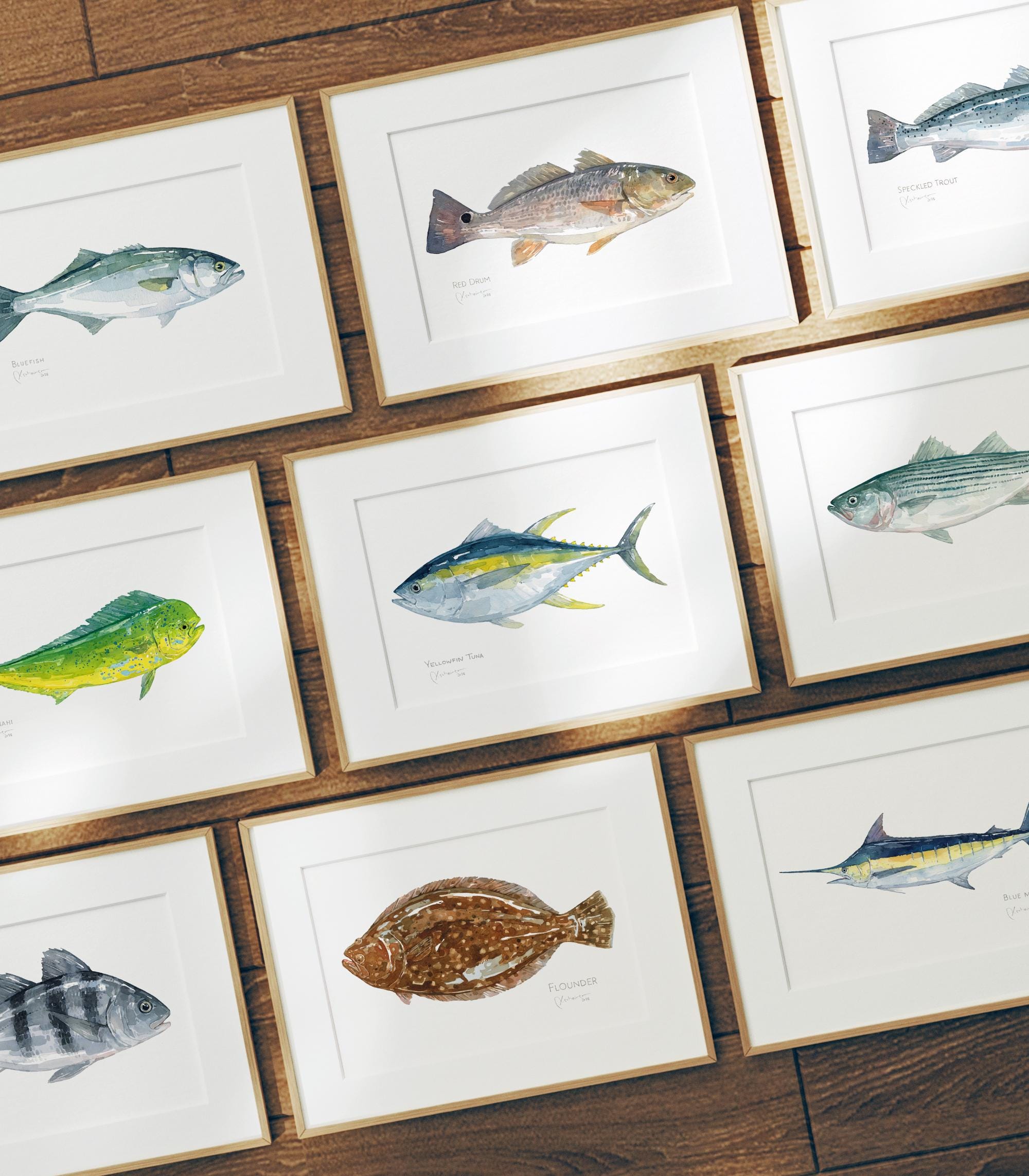 Striped Bass Print