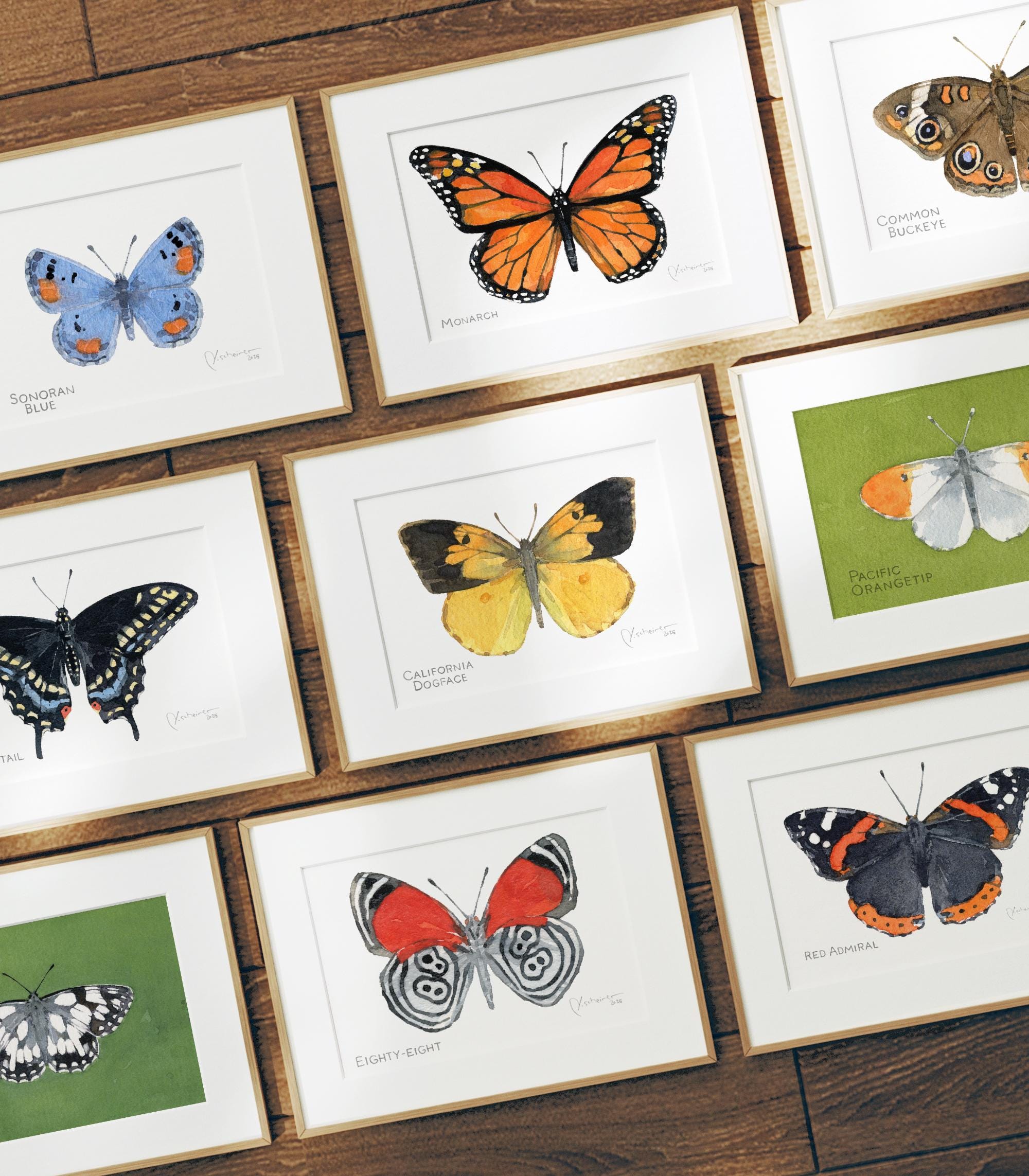 Butterfly Watercolor Print Set Choose Your Own Print Collection
