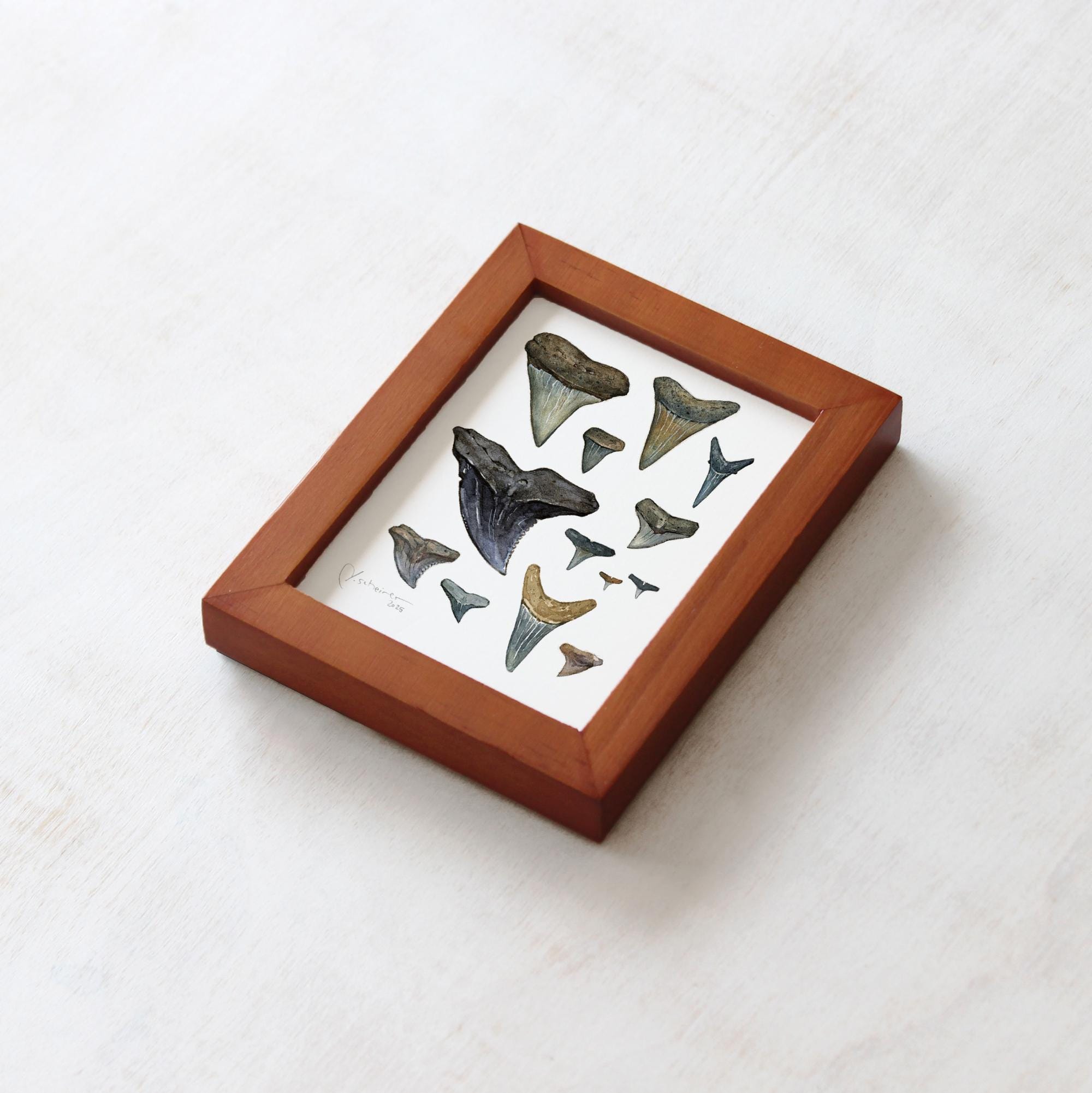 Shark Teeth Watercolor Art: Mini Framed Print