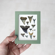 Shark Teeth Watercolor Art: Mini Framed Print