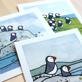 Puffins Illustration Three 5x5