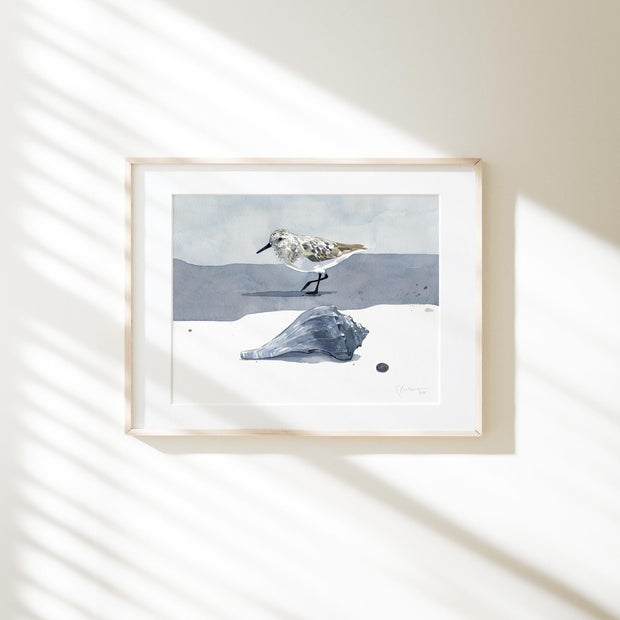 Sandpiper & Whelk Print