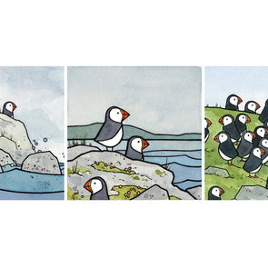 Puffins Illustration Three 5x5