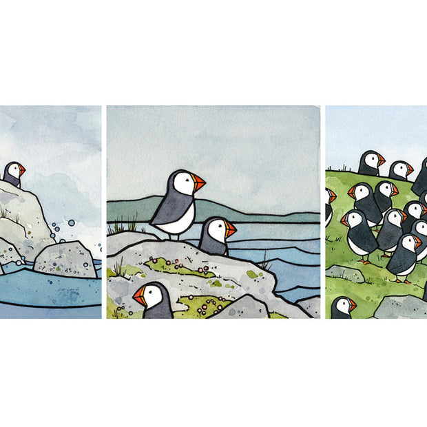 Puffins Illustration Three 5x5" Print Set