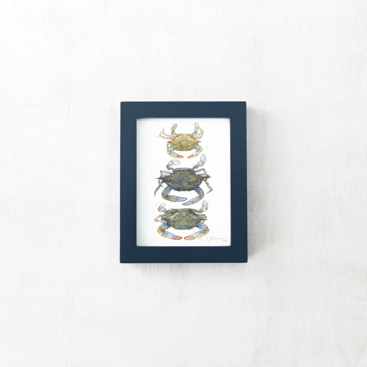 Framed Mini Blue Crabs Print