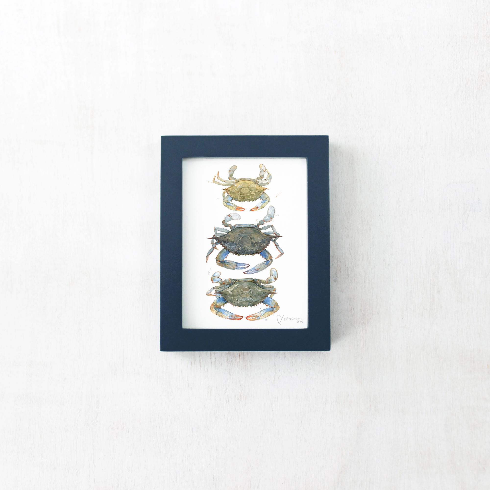 Framed Mini Blue Crabs Print