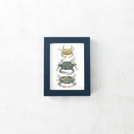 Framed Mini Blue Crabs Print
