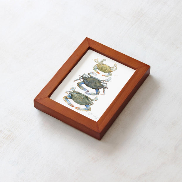 Framed Mini Blue Crabs Print