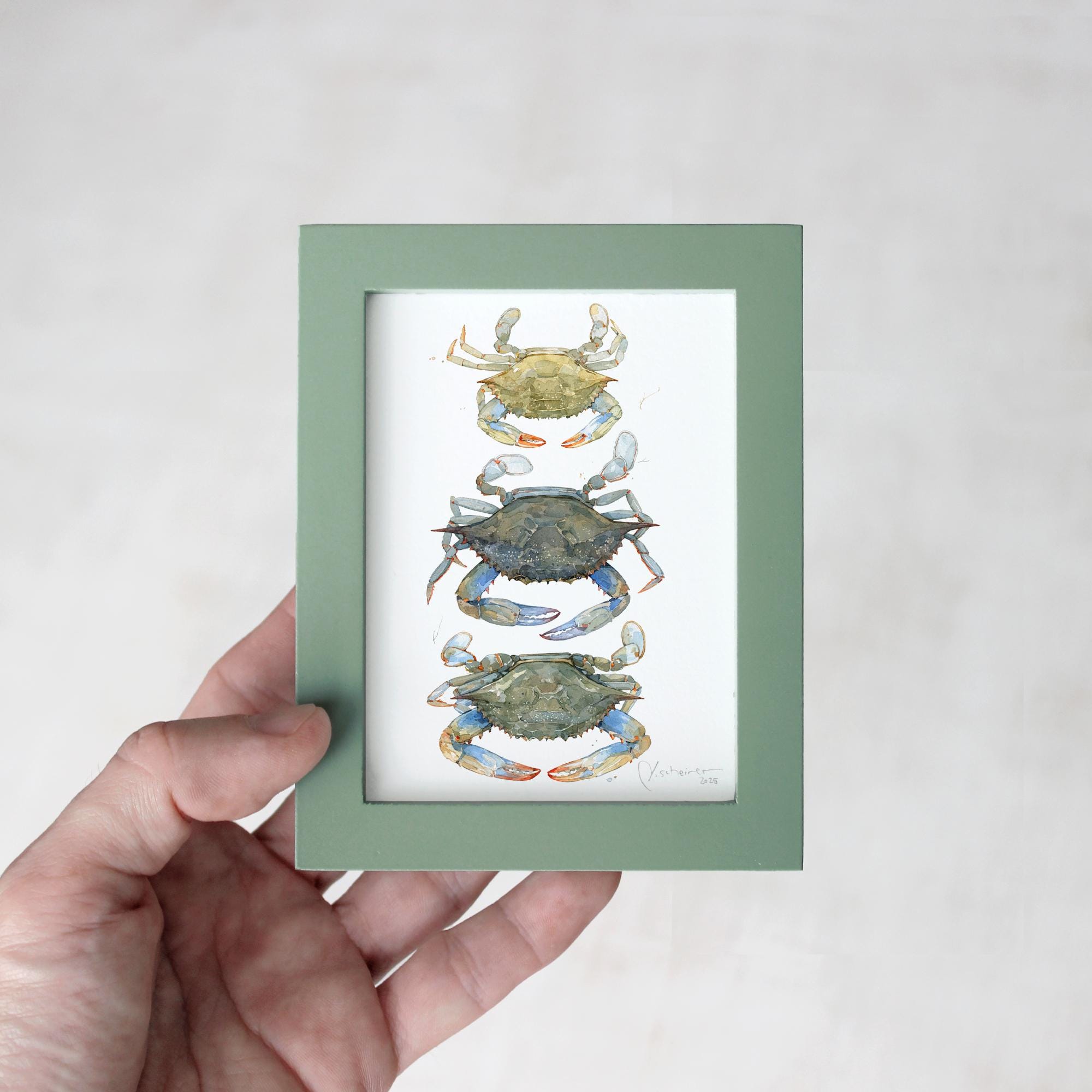 Framed Mini Blue Crabs Print