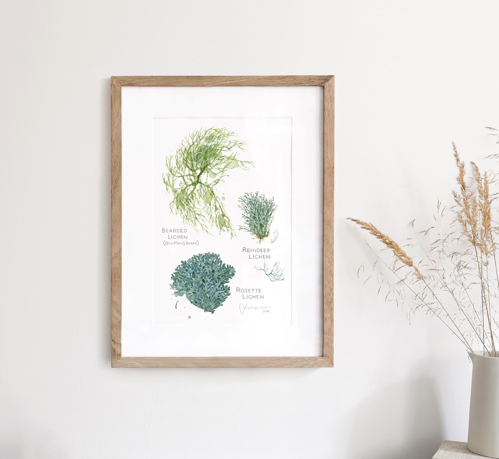 Lichen Botanical Print