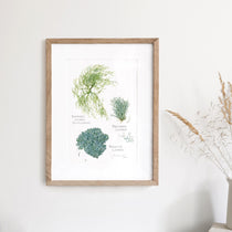 Lichen Botanical Print