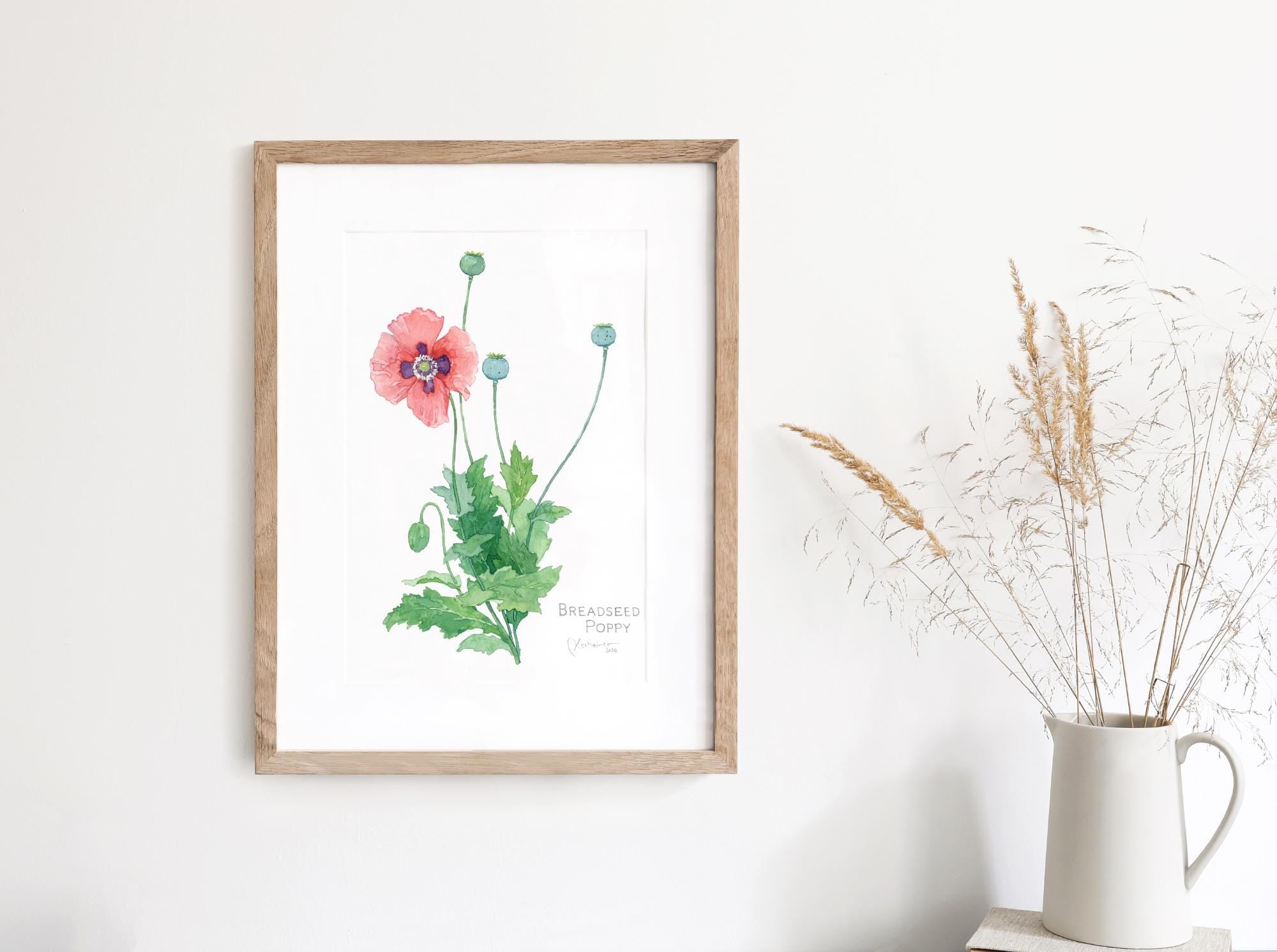 Pink Poppy Botanical Print