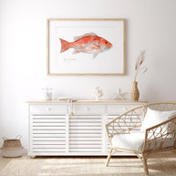 Red Snapper Print