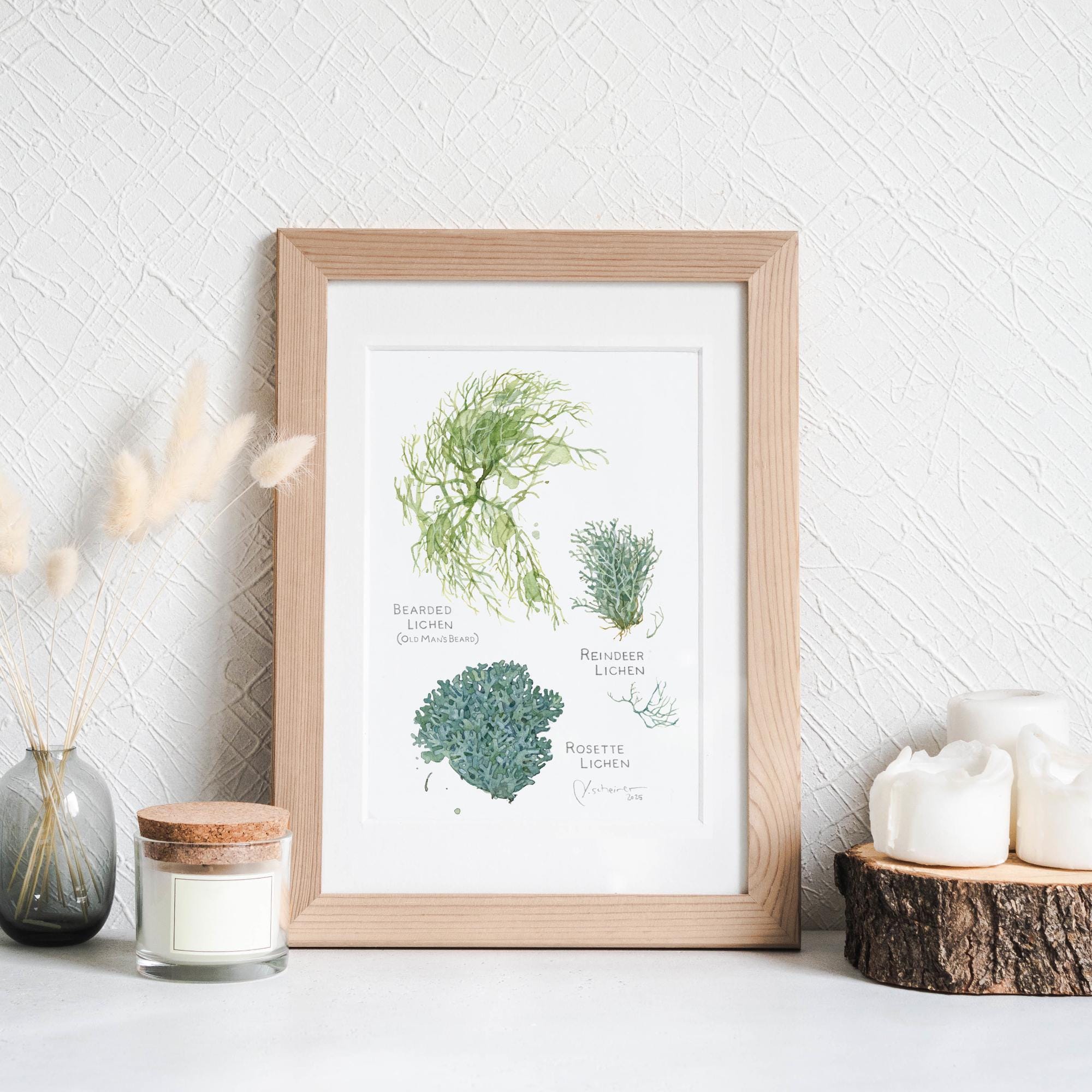 Lichen Botanical Print
