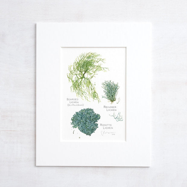 Lichen Botanical Print