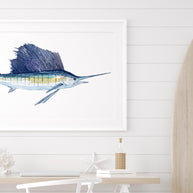 Sailfish Print