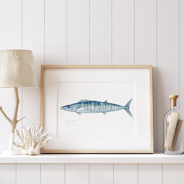 Wahoo Fish Watercolor Print