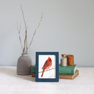 Framed Mini Male Cardinal Print