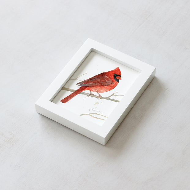 Framed Mini Male Cardinal Print