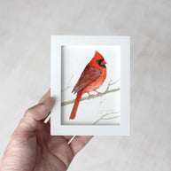 Framed Mini Male Cardinal Print