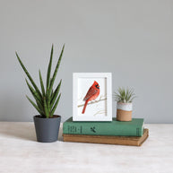 Framed Mini Male Cardinal Print