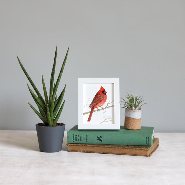 Framed Mini Male Cardinal Print