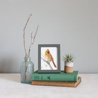 Framed Mini Female Cardinal Watercolor Print Tabletop Frame Bird Gift