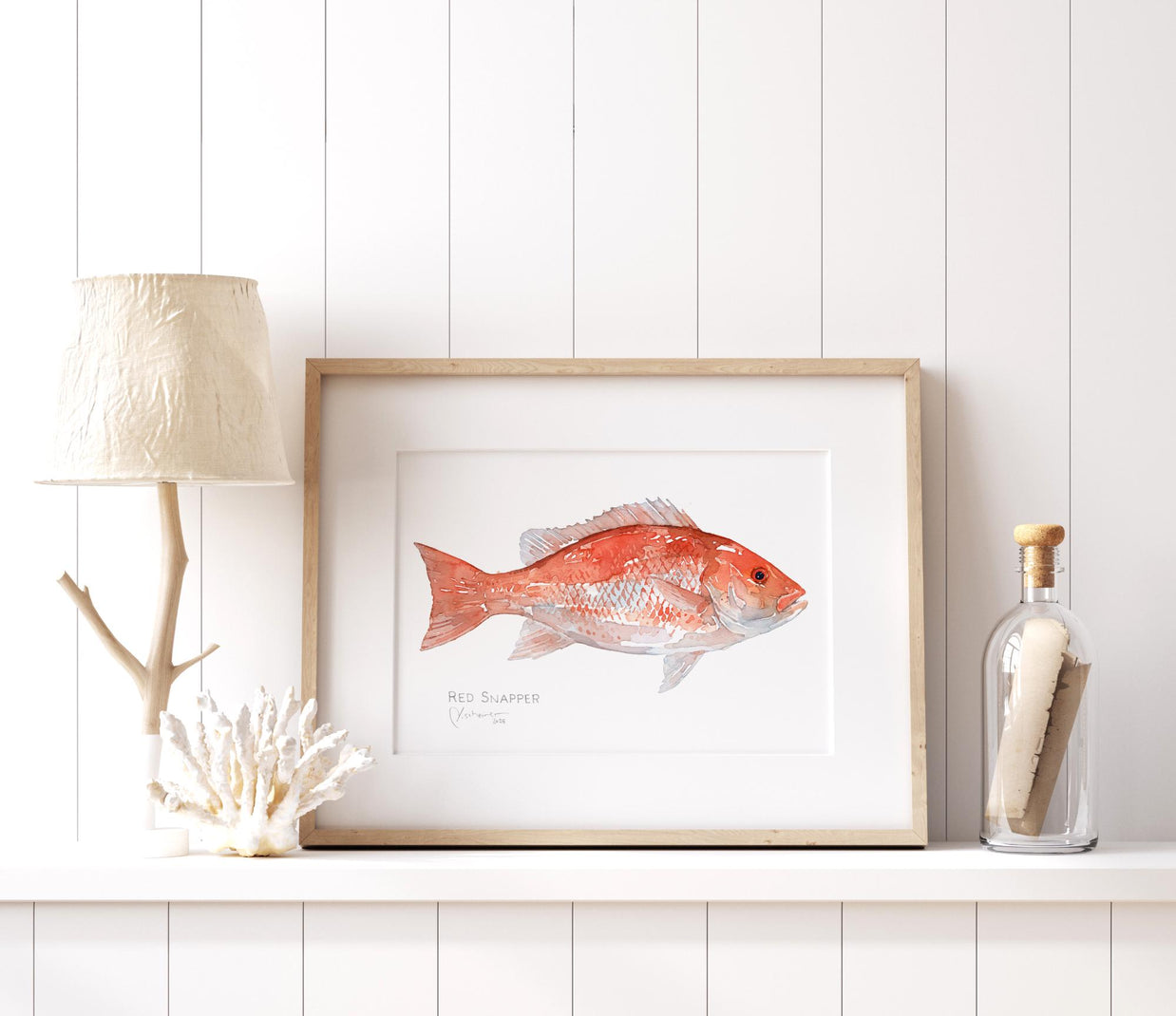 Red Snapper Print