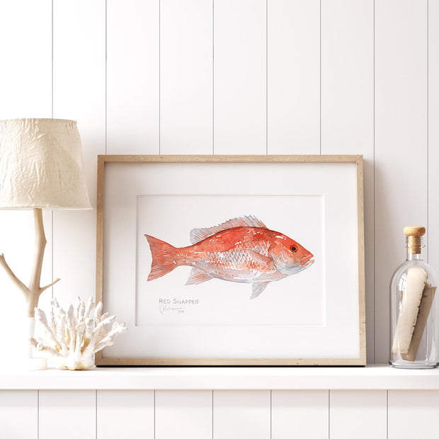 Red Snapper Print