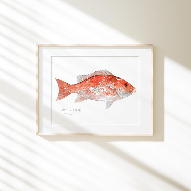 Red Snapper Print