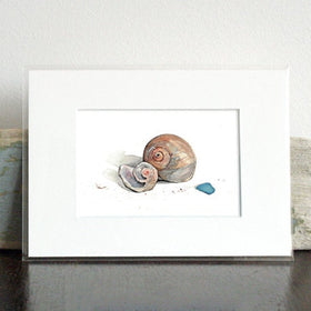 Moon Snail Shells Watercolor Painting: Beach Art Print