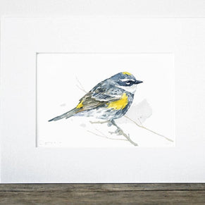 Yellow-Rumped Warbler Bird Print