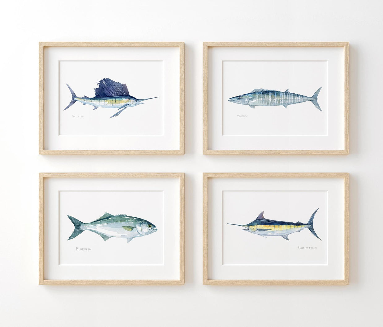 Wahoo Fish Watercolor Print
