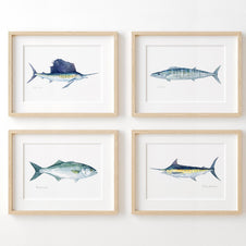 Wahoo Fish Watercolor Print