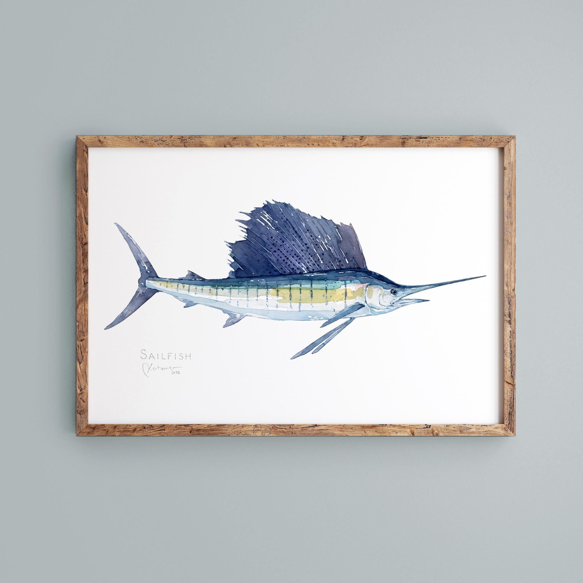 Sailfish Print