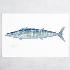 Wahoo Fish Watercolor Print