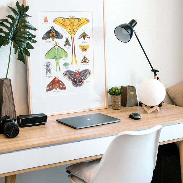 Moth Chart Print